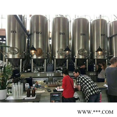尊皇ZH型酿酒设备 中小型酿酒设备 葡萄酒糖化设备 果酒设备.