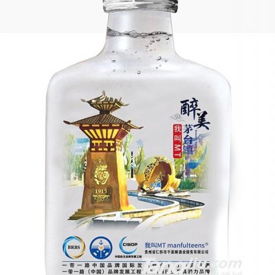 46度我叫MT 茅台镇100ml