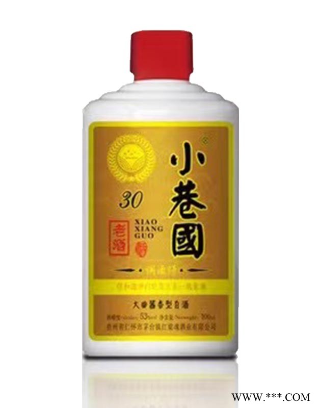 小巷国酒30