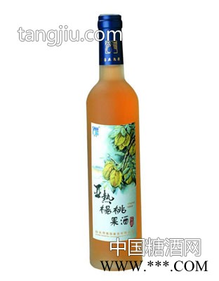 亚热杨桃酒