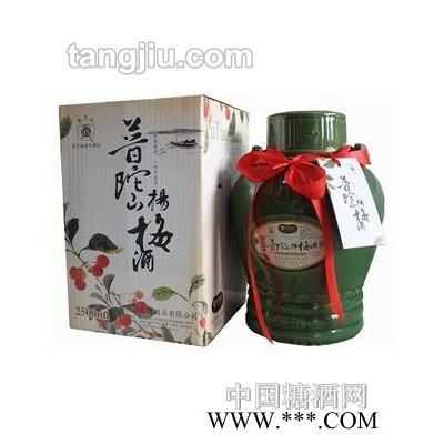 精装普陀山杨梅酒2500ml