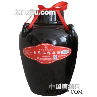 坛装普陀山杨梅酒2500ml