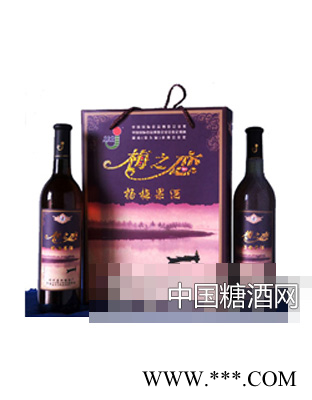 梅之恋杨酒礼品盒