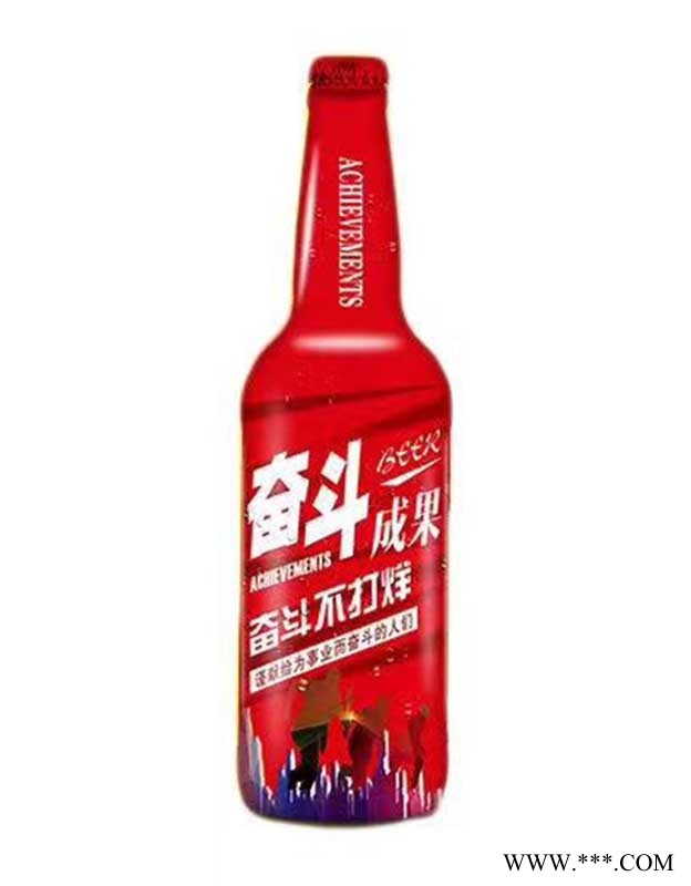 奋斗成果啤酒500ml瓶装