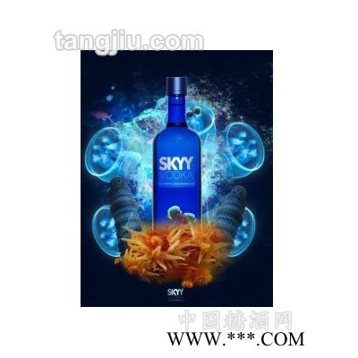 SKYY-VODKA伏特加