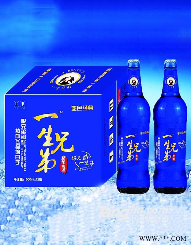 一生兄弟啤酒500ml×12瓶