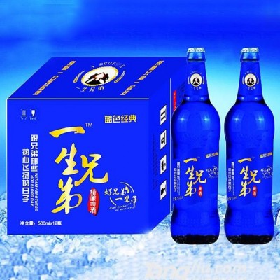 一生兄弟啤酒500ml×12瓶