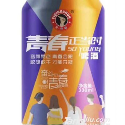 青春正当时啤酒罐装-330ml