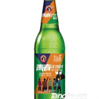 青春正当时啤酒瓶装-500ml