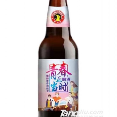 青春正当时啤酒瓶装-330ml