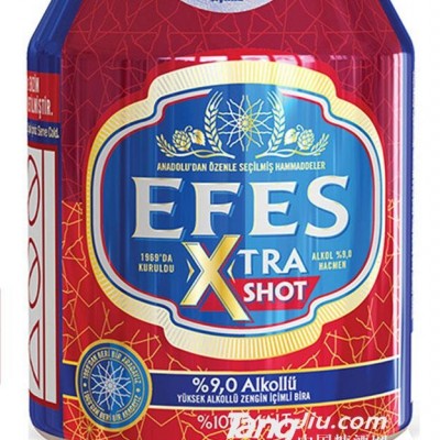 EFES EXTRA237ml