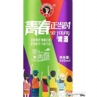 青春正当时啤酒罐装-500ml