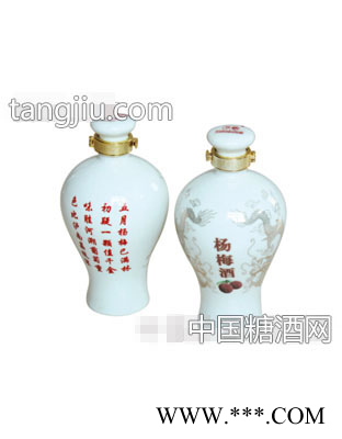 杨梅露酒500ML21度