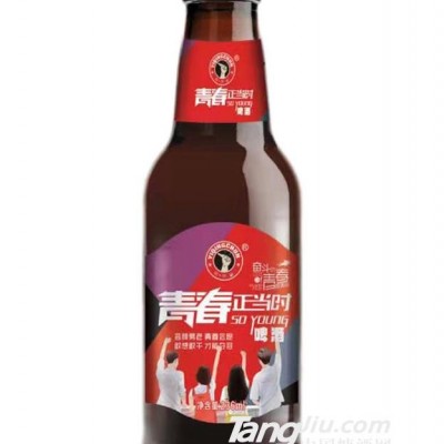 青春正当时啤酒瓶装-236ml