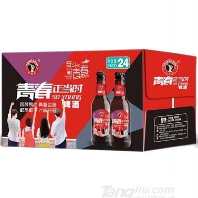 青春正当时啤酒瓶装-236mlx24