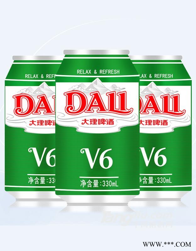 大理啤酒-V6罐装-330ml