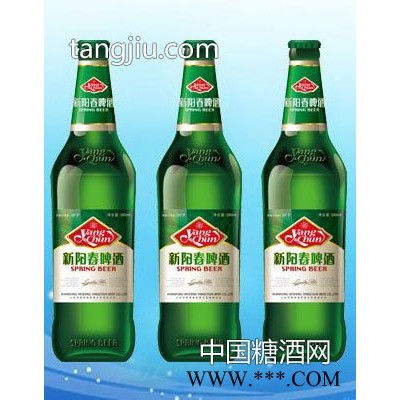 新阳春啤酒600ml