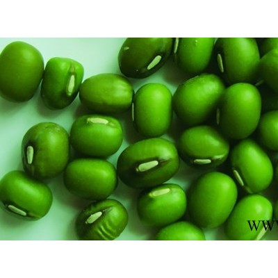 绿豆水解蛋白肽