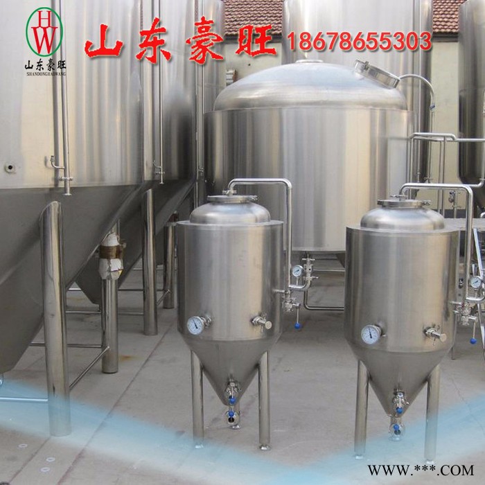 山东豪旺 SDHW-500L 精酿啤酒设备图2