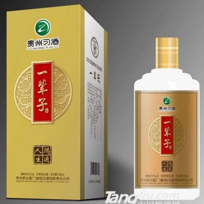 52°贵州习酒一辈子500ml