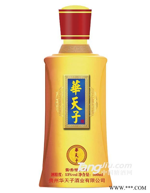 53°华天子-天子大师工造（瓶）-500ml