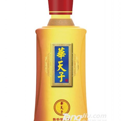 53°华天子-天子大师工造（瓶）-500ml