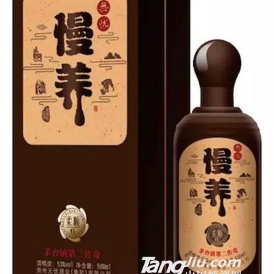 无忧53°（慢养柔顺6）白酒500ml