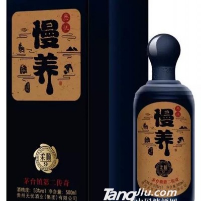 无忧53°（慢养柔顺9）白酒500ml