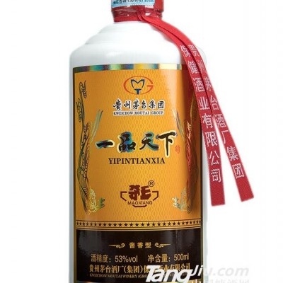 53°一品天下精品单瓶-500ml